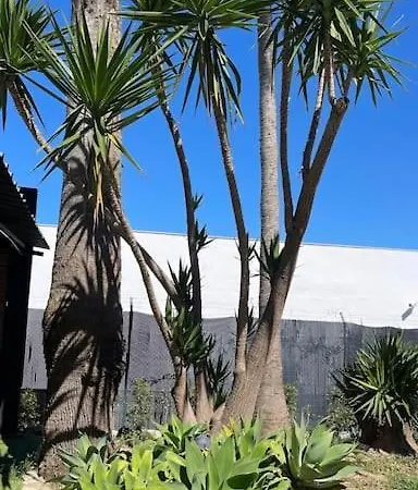 Fantastica Villa-guadacorte Villa Los Barrios